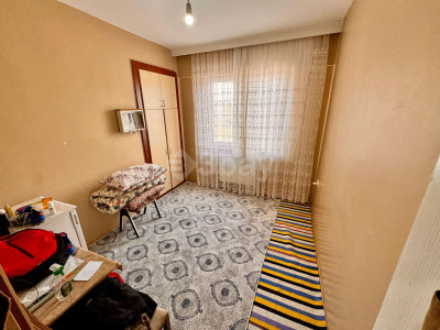 WhatsApp Image 2026-02-17 at 11.19.15.jpeg